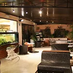 酒店 比科西奥酒店 3*